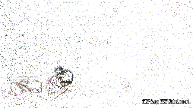 DM_20241112095019_003~1.gif