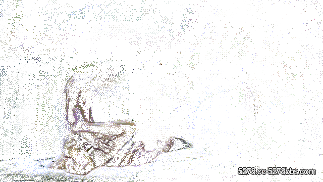 DM_20241112095019_006~1.gif